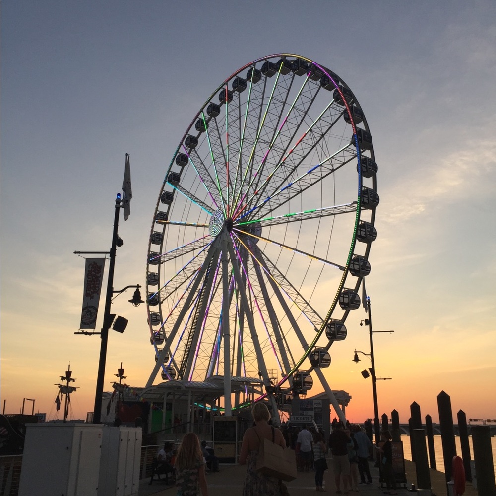 Meet your Posher, Grace